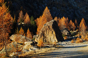 10-22-SDQ-4187p-C