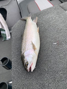 [Image: IMG-5104.jpg]