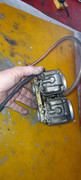 20231101-104929.jpg