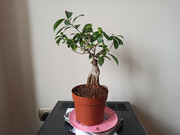 IMG-20200331-154307