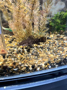 viber_изображение_2023-11-02_20-32-20-308