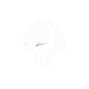 Jaguar Group
