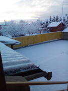 https://i.postimg.cc/BjmZzLN4/IMG-20201130-074113-1.jpg