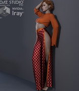 IMG1