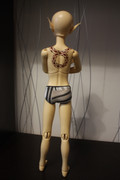 IMG-8314