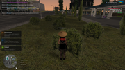 image21