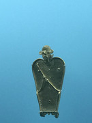 IMG-8854