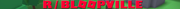 BLOOPVILLE-BANNER-copy
