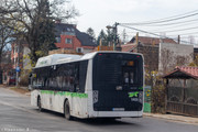 IMG-1410