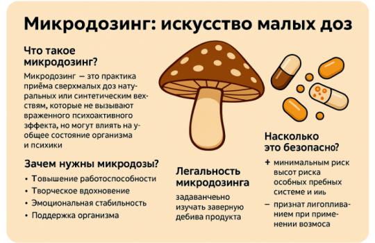 https://i.postimg.cc/Bn0125fH/654y7yturuy654.jpg