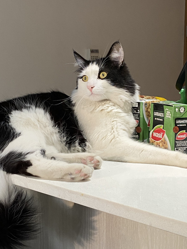 CC527C53-8429-4403-8B69-7ADD07AE0AB5