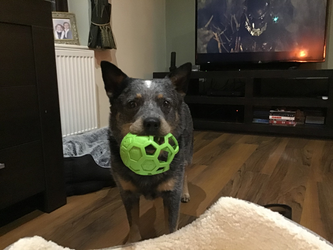 F544C476-CCE8-4B0D-99A1-70E9463187B9