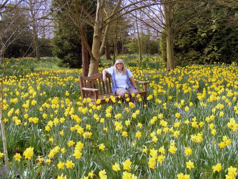 Me-daffodils-HD.jpg
