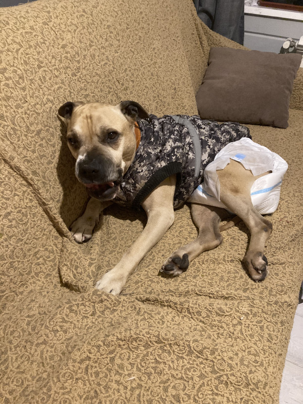 2B908BBB-8CA5-41E7-9250-1EB6A5888C7D