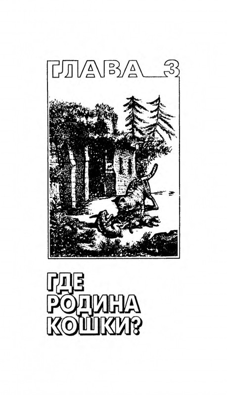 Николай Непомнящий - 200 кошачьих почему - 1995_page-0057