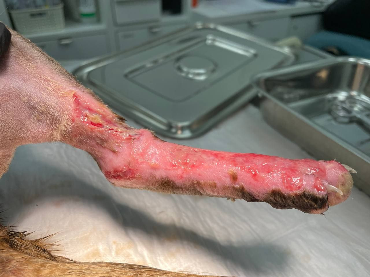 IMG e1b1eadc891000d03136eb3a4e14c5c3 V