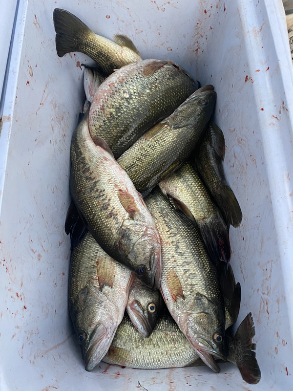 25692F1C-897D-4687-9C8D-D63FD4917D12