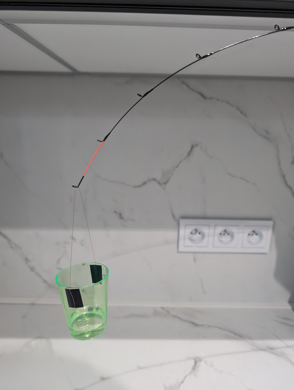 PXL 20260213 080225411