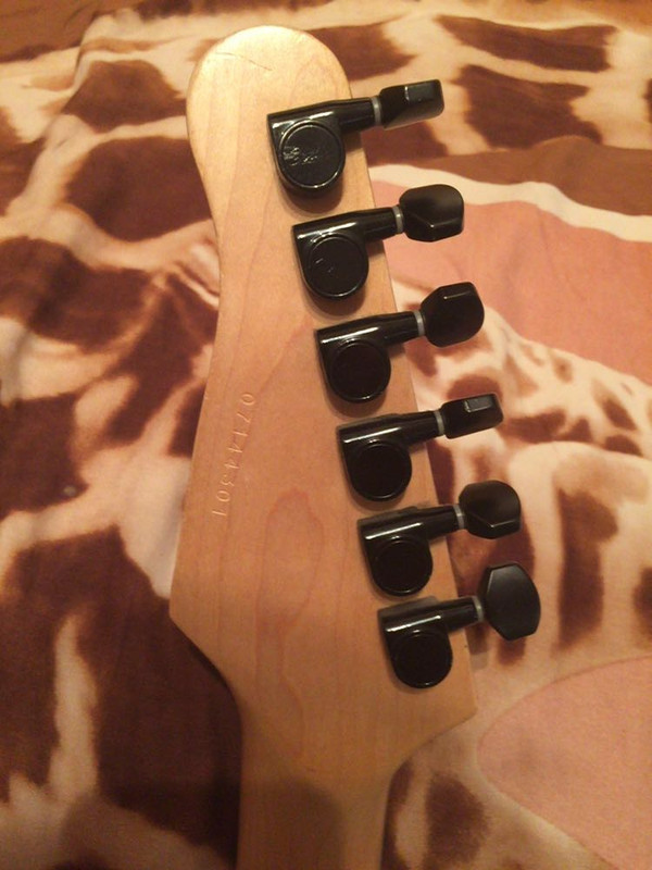 WhatsApp-Image-20160725 (10)