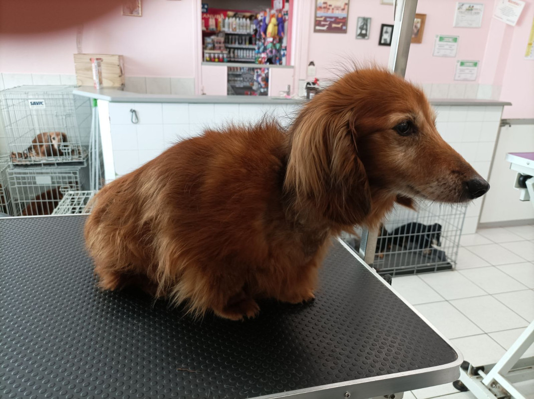 [Image: IMG-20230920-202314.jpg]