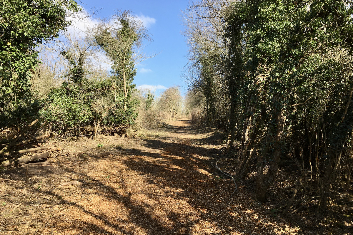 ADEA502F-E77C-4B2C-94A8-C3524E4840A6