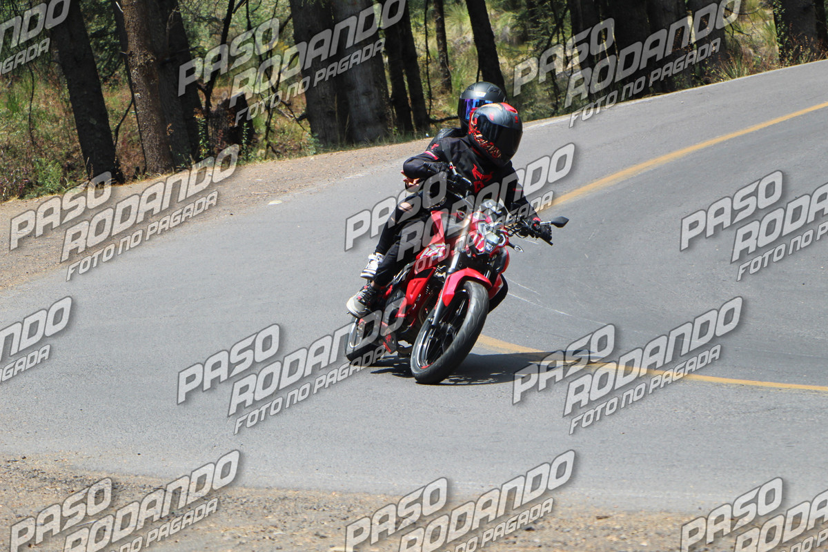 IMG 1658 wm 11259021 8 watermarked — Postimages