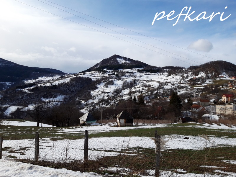 Slika