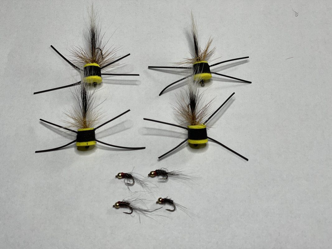 43F13ECF-7361-4CFA-99E5-E5DAC402414D