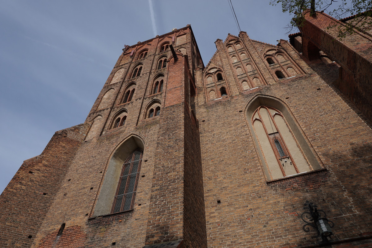 20.28 - DSC08107 (zbychowiec)