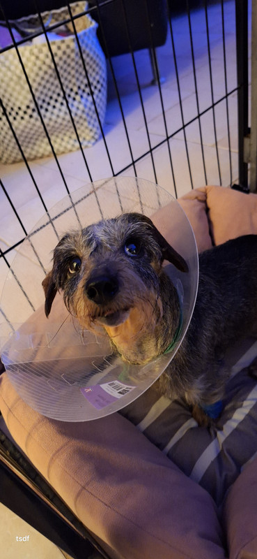 [Image: 20250221-205107.jpg]