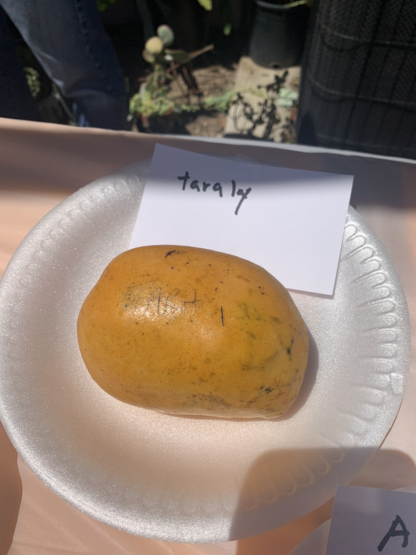 6E1C4666-E721-492F-8850-6FBC1F6F3E96