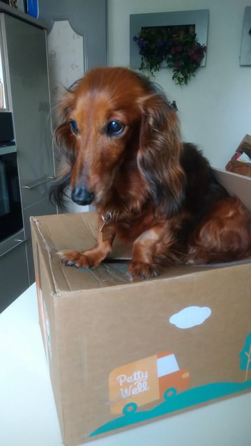 [Image: DSC-0595.jpg]