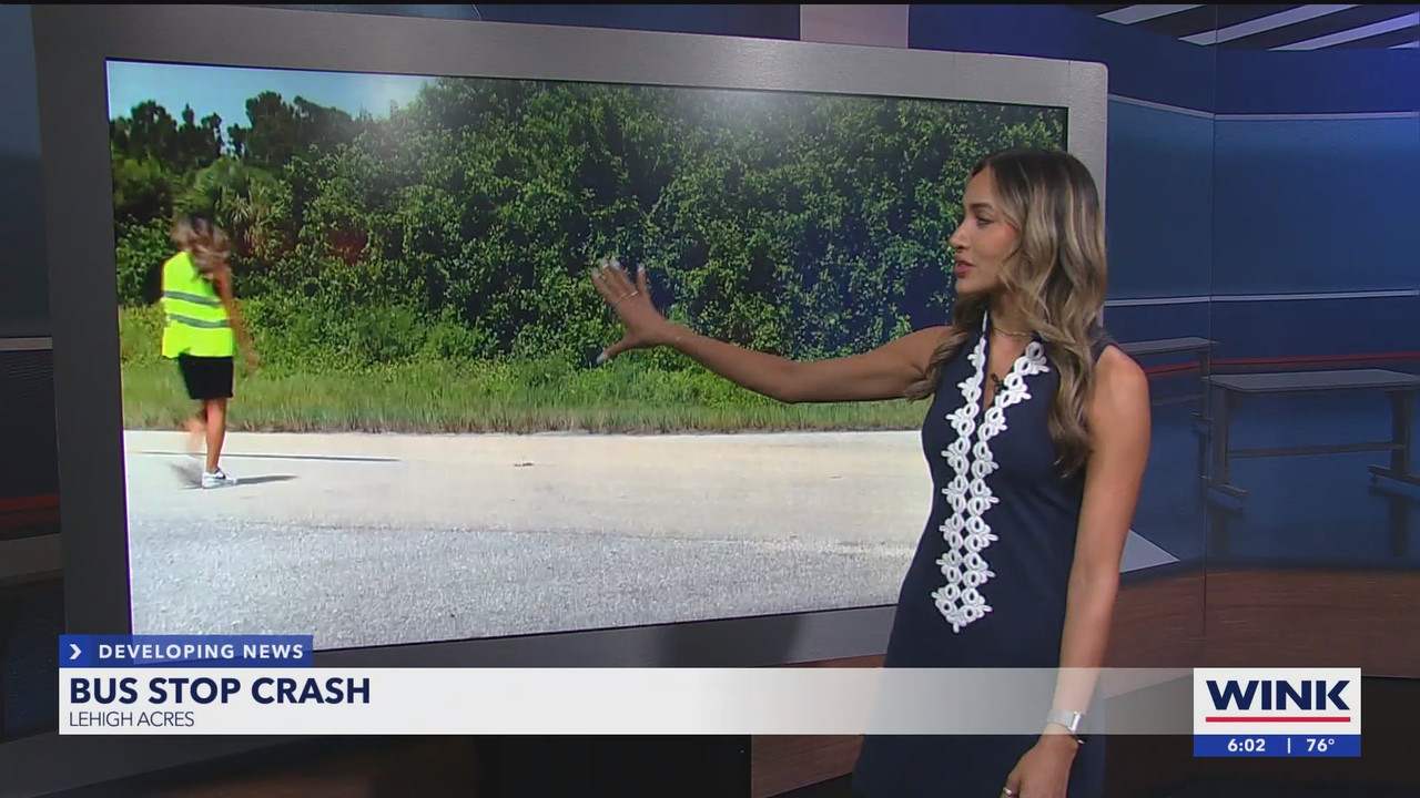 WINK NEWS at 600am Saturday_20240824_11001200.ts_snapshot_00.03.20.594