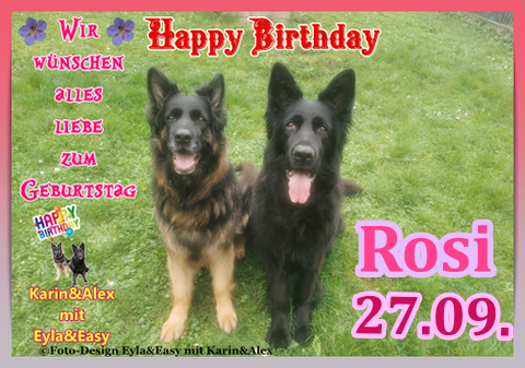 An den Beitrag angehängtes Bild: https://i.postimg.cc/Bn2Bc4fQ/Vorlage-Bild-Geburtstag-2025-png-Rosi-27-09.png