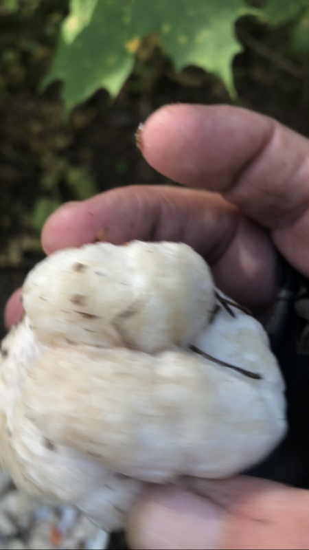 82A7726E-B8AB-4DBE-BA49-1A95E8A317D9