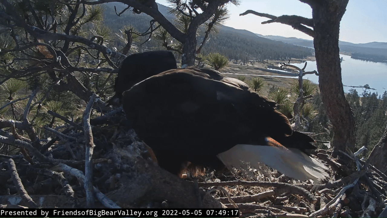 Webp.net-gifmaker (3)