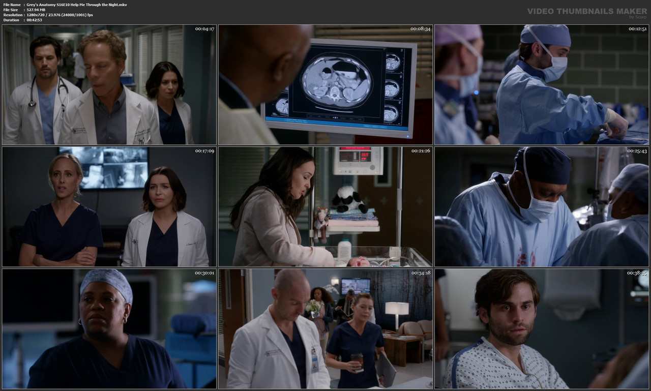 Grey's Anatomy S16E10 Help Me Through the Night.mkv