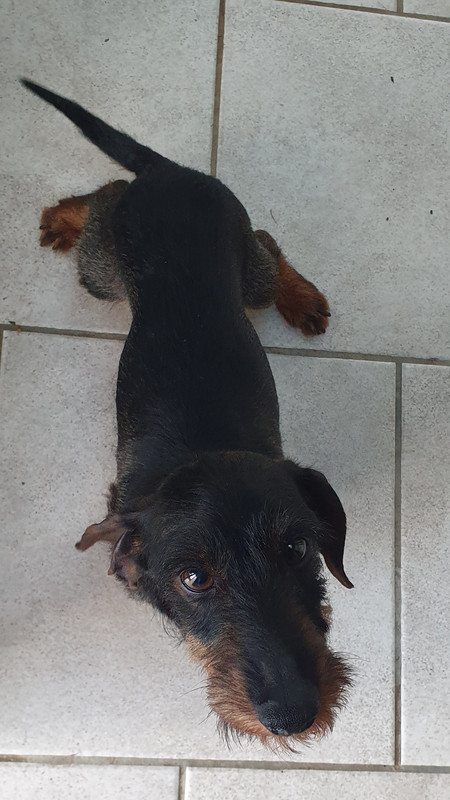 [Image: 20230705-212846.jpg]