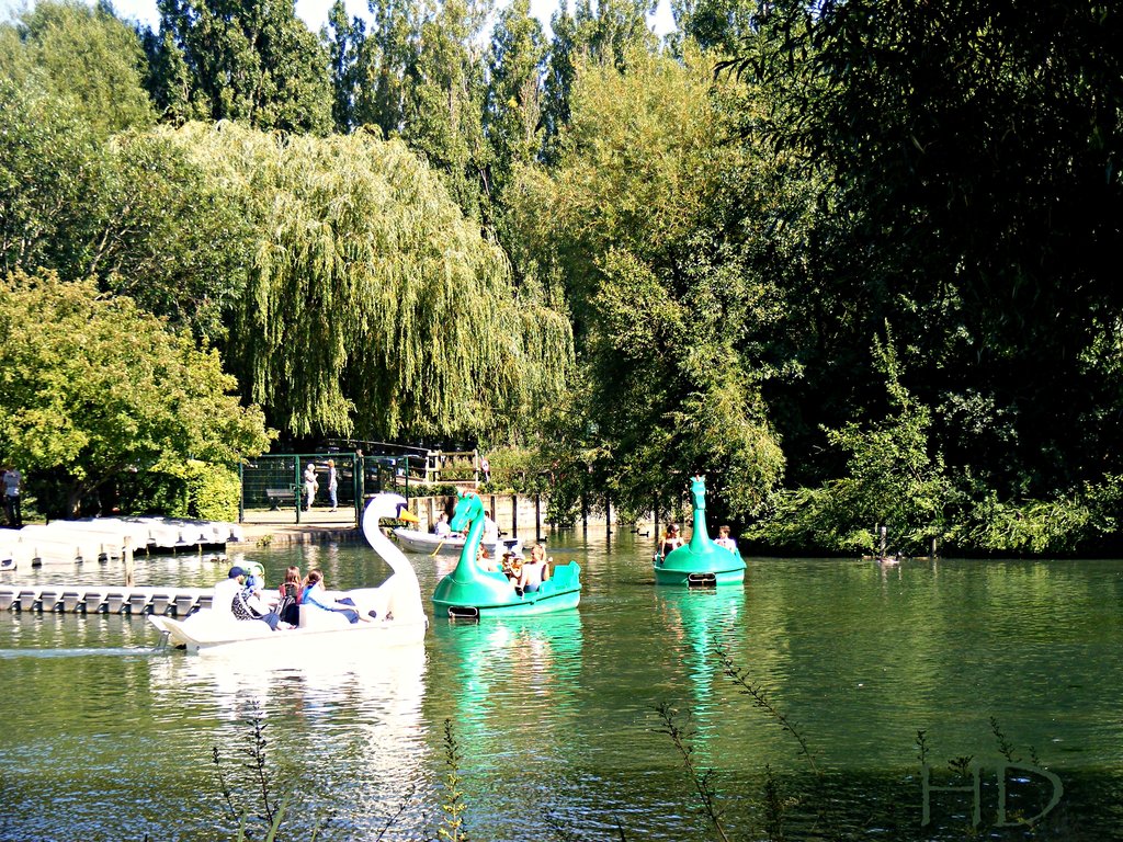 boating-lake-S-HD.jpg