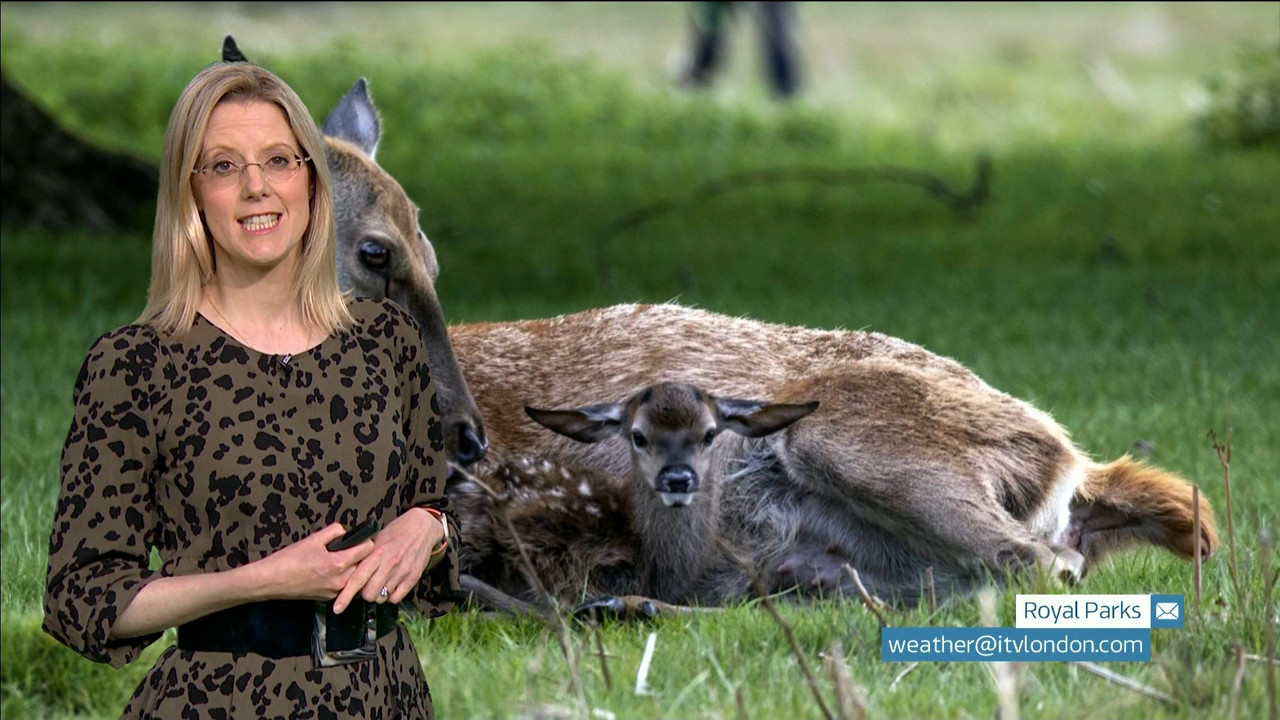 ITV News London_20230424_18001830.ts_snapshot_25.14.281