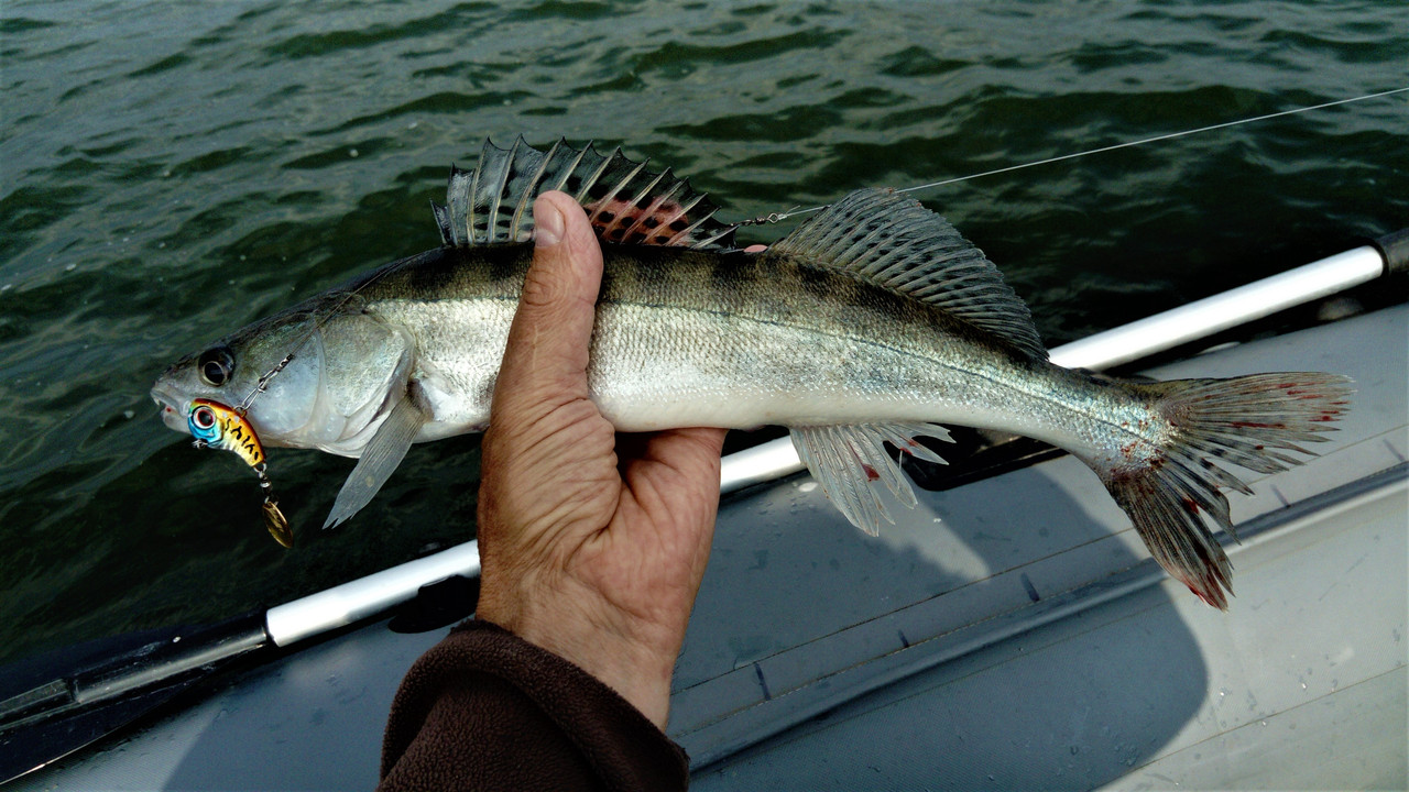 DSC_0962 — копия