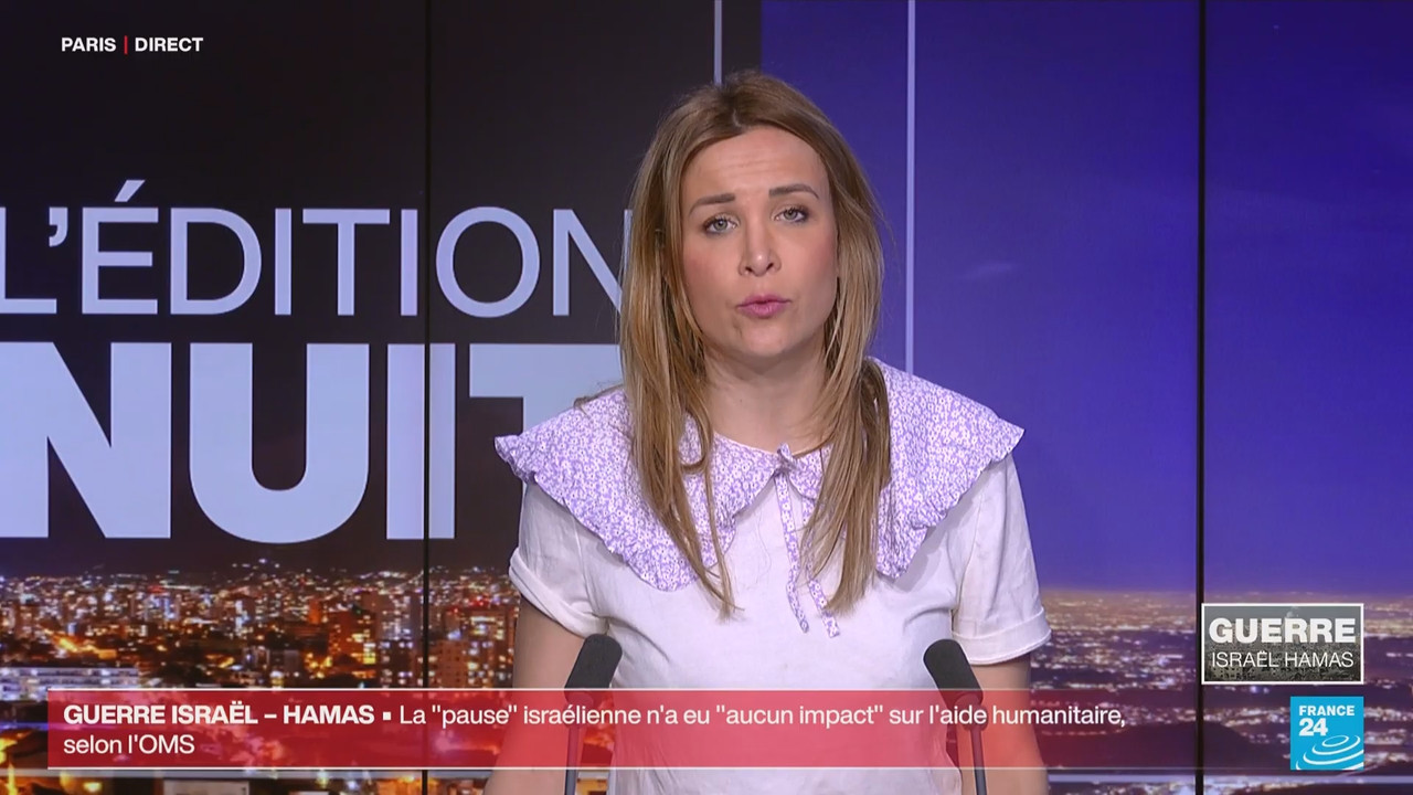 Le journal France 24 (FR) (France 24)_2024_06_22_03_55_19.ts_snapshot_09.29.429