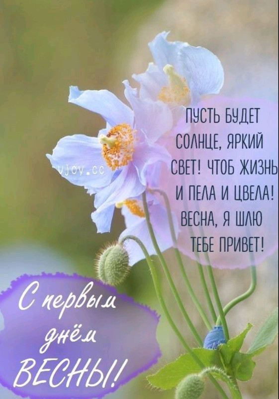 Screenshot-20230301-084453-com-viber-voi