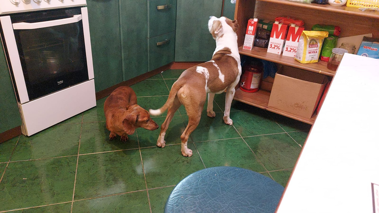 92C745A8-D07C-4681-A83E-35AC1A5DF412