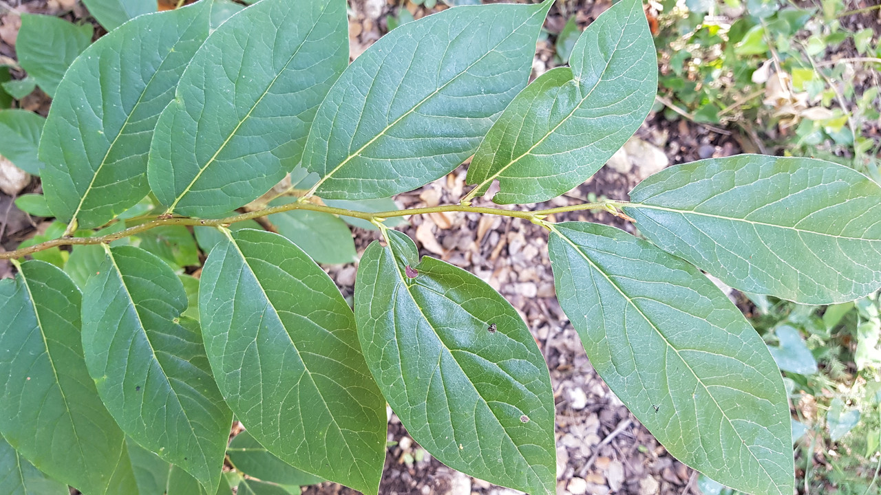 20190829_144305