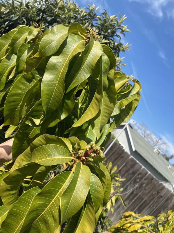 F00D2CE6-8F63-4A5A-9024-F887AD2FC77D