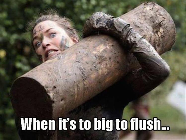 too-big-to-flush.jpg