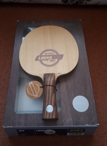 88152060_1466575720180439_4712457083746779136_n