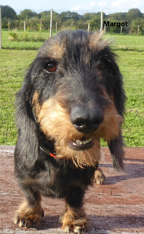 [Image: P1030756.jpg]