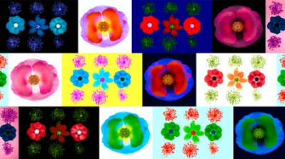 9d6cd867 b5d1 4421 9c52 02c3b087fc99 - Photoshop: Creative Lab Color